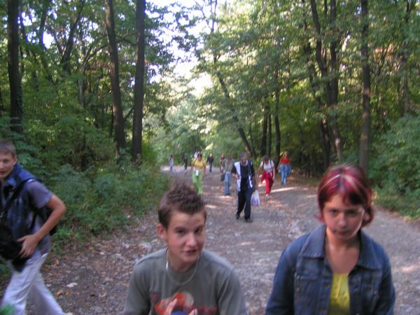 pict4726 (web)